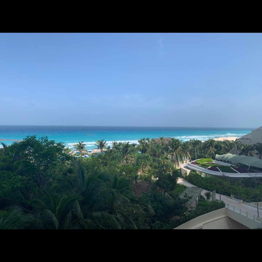 Meet your Posher, Liz